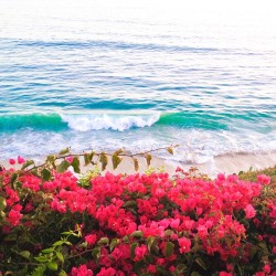 stylishblogger:  What a beautiful Sunday! #sundayfunday #fathersday #ocean #view by @stylishpetite