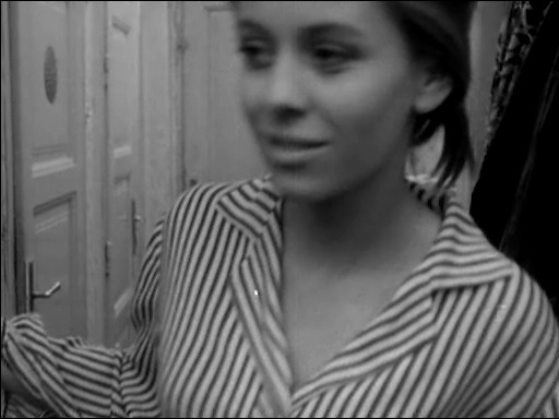makavejev: Eva Ras Love Affair, or the Case of the Missing Switchboard Operator 