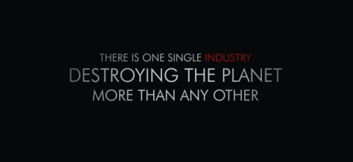 Livestock And Their Byproducts Actually Account For At Least 32,000 Million Tons Of Carbon Dioxide (CO2)