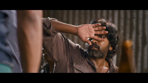 Soodhu Kavvum, 2013