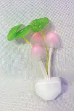 privategalaxystore:  Glowing Mushroom Fantasy Nightlight Plant Lamp บ on Storenvy 