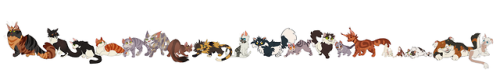 NightClan (Incomplete&ndash;I’ll update with the last few cats)