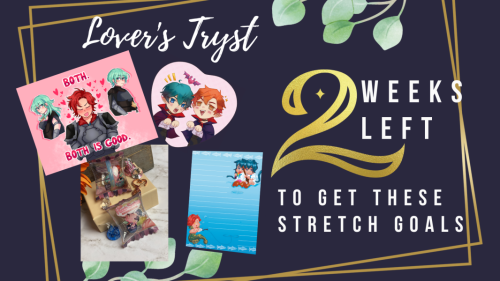 You only have two more weeks until you can try to get our lovely stretch goals! If you want to help 