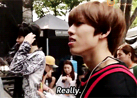 Yibo Please