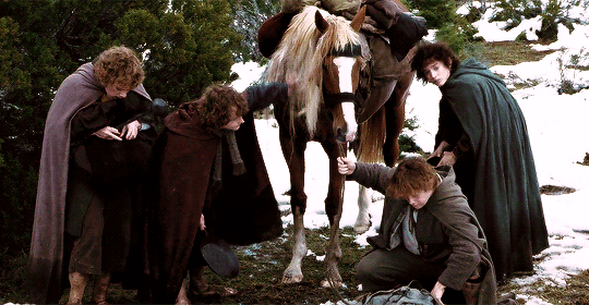 allnerds:  It never ceases to amaze me, the courage of hobbits.