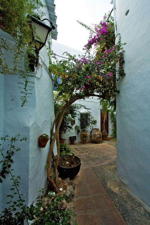 visitheworld:White walls of Frigiliana, Andalusia / Spain (by Aurelien).