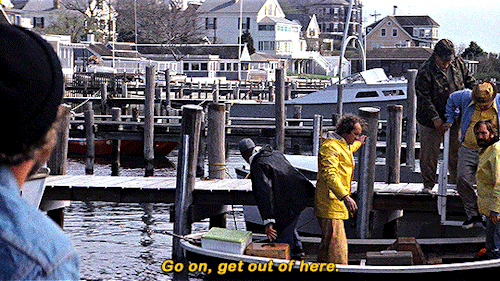 dafoes:JAWS (1975) dir. Steven Spielberg