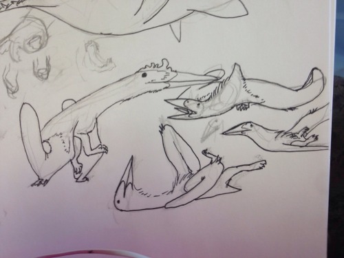 mcraelodon:@iguanodont drew some silly AzhdarchidsLook at em roll!!!!!