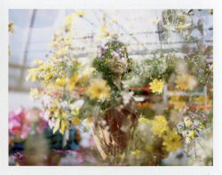 amamakphoto:Some fun double exposures at