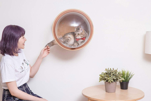 No One Will Know This Is a Space-Age Napping Pod for Your CatMake your house cat-friendly with Space