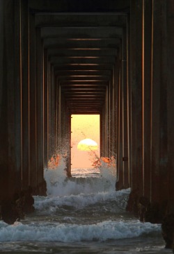 0rient-express:  Scripps Pier Alignment-----Day