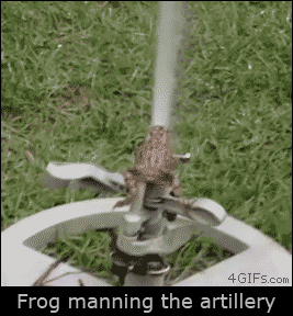 For animated GIFs