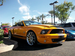 throttlestomper:  Ford Mustang Shelby GT500