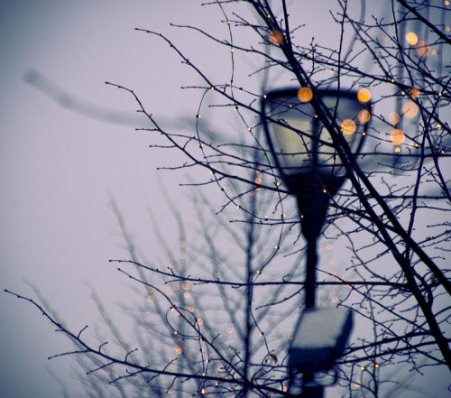 magic-spelldust: quiet moments by wainscottweasel