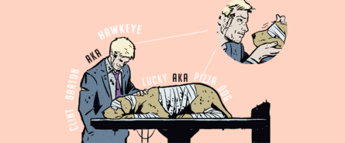 tchilla: one edit per issue:  Hawkeye #01