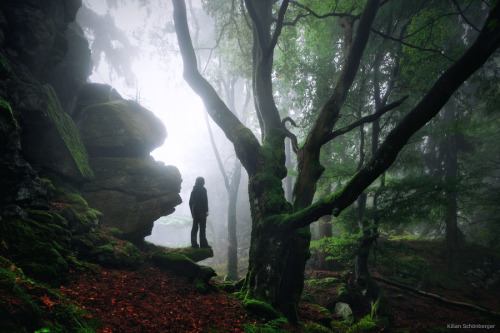 Into the Wild, Bavaria, Germany by Kilian Schönberger KilianSchoenberger.de facebook.com/Kilian