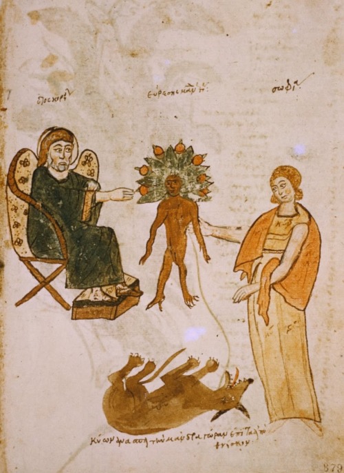 deathandmysticism:Digging up a mandrake, 15th century 