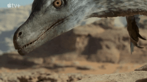 Allosaurus Turning Around GIF - Allosaurus Turning Around Dinosaur -  Discover & Share GIFs