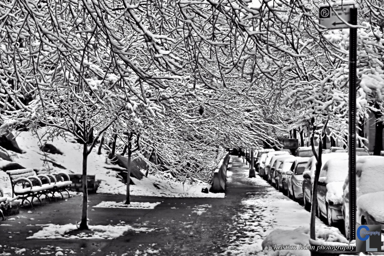 Bennett Avenue, NYC
Christian Ledan Photography