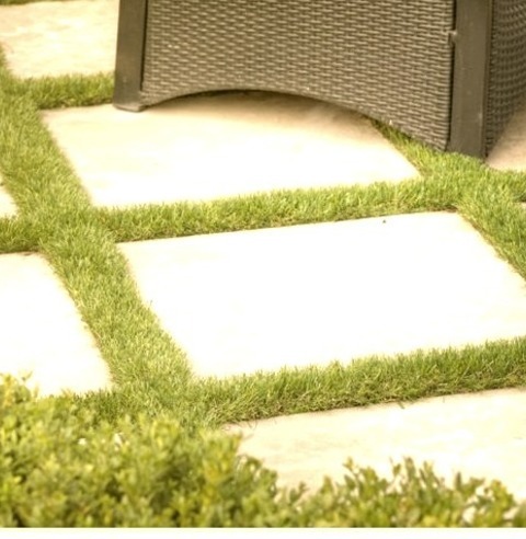Contemporary Patio In Toronto