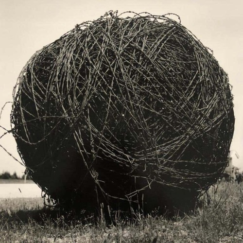 joeinct:  Barbed Wire, Kansas, Photo by Rick