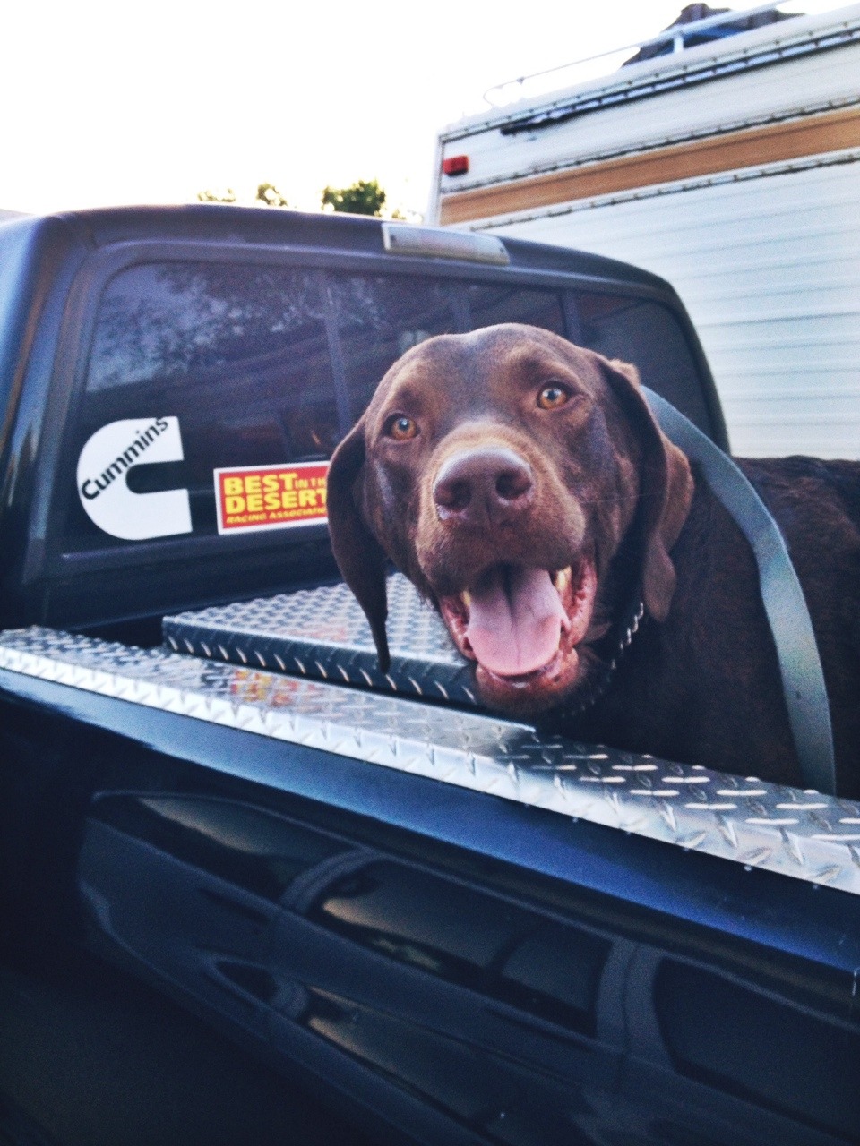 customroadie:  - the truck lover’s blog -