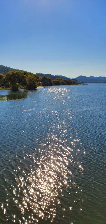 oneshotolive:  water, trees, and twinkling sun. Nonsan, South Korea.[OC][1908×4032 mobile] 📷: ArcaneBros 