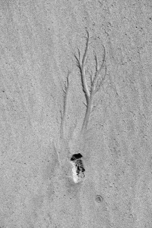 Traces of sand 2