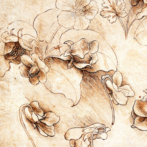 vivalcli:Moodboard: Leonardo da Vinci’s sketches