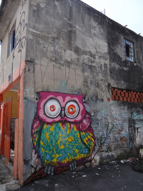 mellabrown:  BINHO ONE - Role jardim japao Brazil. 2013 