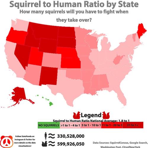 gabolange:datarep:Squirrel to Human Ratio by State.  by u/Dremarious  Keep reading @my-lit