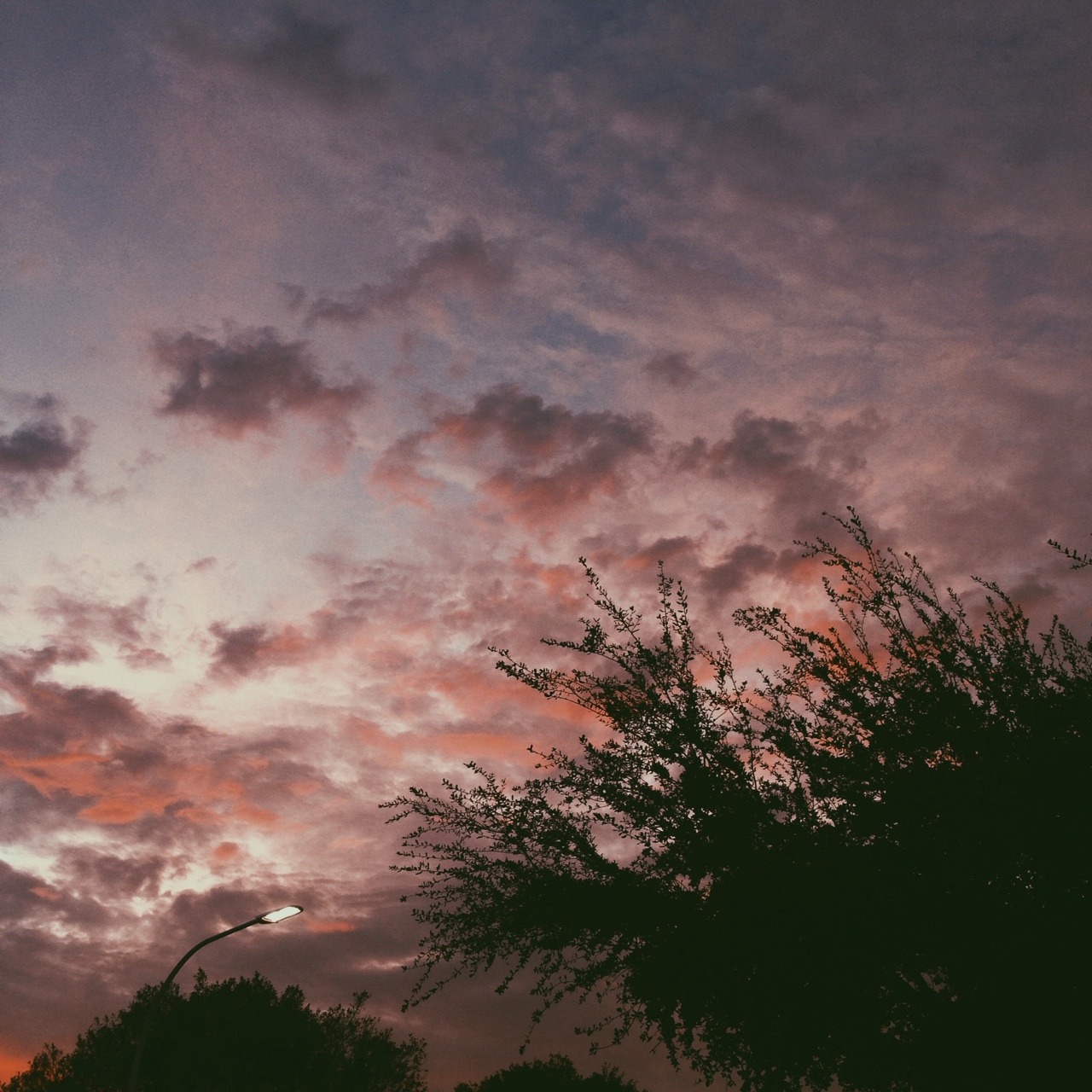 lifeof-ty:  Mixed berry sky Instagram @tymurf