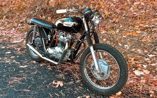 XXX caferacerpasion:  Triumph TR6 Brat Style photo