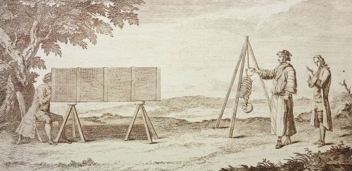 magictransistor:  William Cheselden, Osteographia (The Anatomy of Bones), London, 1733.