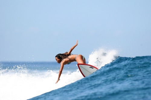 surfing-girls:  Surf GirlSurfing Girls Twitter