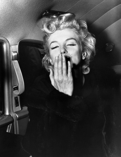 perfectlymarilynmonroe: Marilyn Monroe arriving back in New York City from Los Angeles on June 