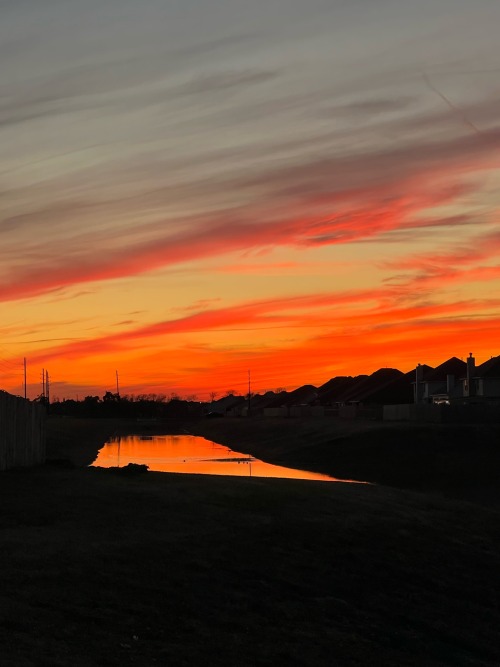 I love taking pictures of God’s beautiful creation!