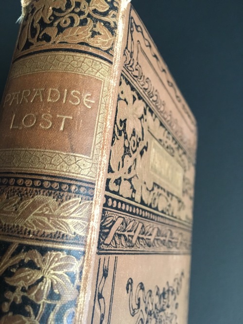 macrolit:Paradise Lost, John Milton