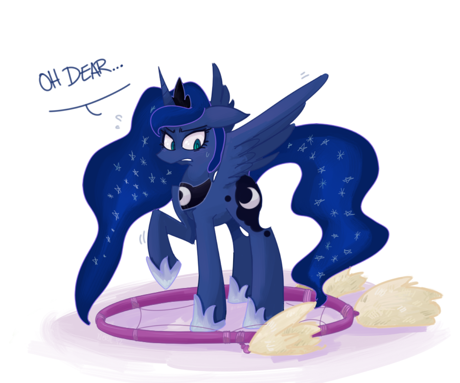 ariyous-dusk:  snwcone:  epicbroniestime:  erraticjukebox:  Luna caught ‘inside’