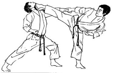 rootsofcombat2:  martial arts drawings that ive seen acrows the internet