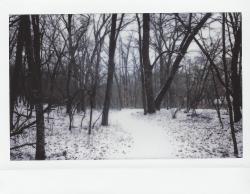 oldxyouth:melanieonfilm:Winter Woods Fujifilm Instax 210   W