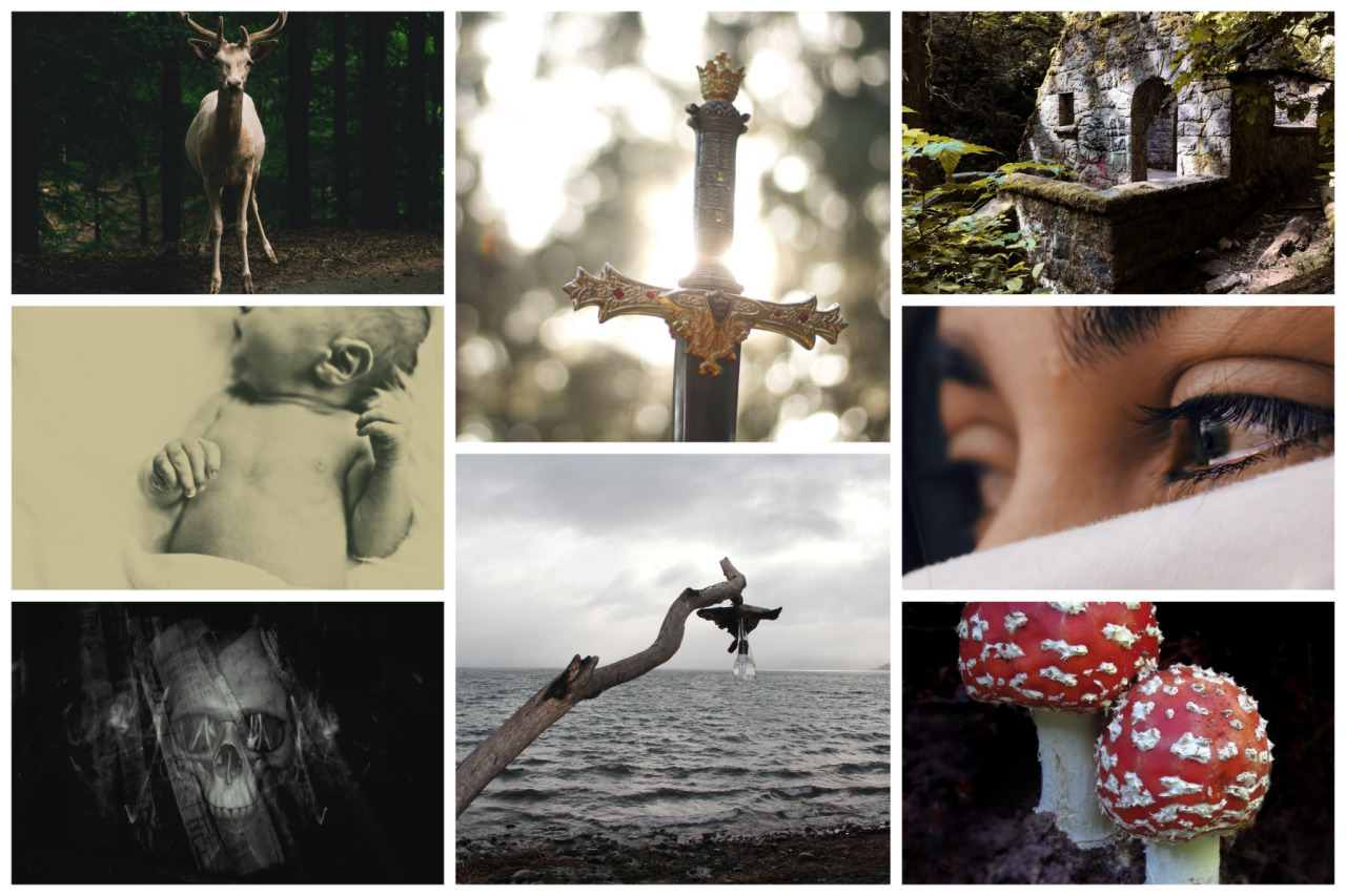 Moodboard with three columns: Left column, top - a male deer standing in looks directly into the camera. Left column, center - black and white photo of a newborn with its upper body bare. Left column, bottom - black and white momento mori illustration. Center column, top - an ornate sword with a crown on the pommel is backlit by sunlight shining through trees. Center column, bottom - a found objects windchime hangs from a bare tree branch on a stony beach; the sky is grey and the water choppy. Right column, top - a stone building surrounded by trees and greenery. Right column middle - closeup photo of dark brown eyes in three quarters profile; the person has dark hair and brows, dark mascara, and looks toward the center column. Right column, bottom - close photo of a pair of toadstools with red cap and white spots.