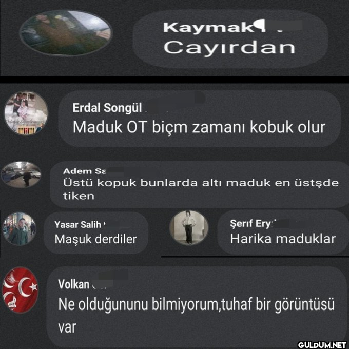 Bunu bilen harbi köylüdür ...