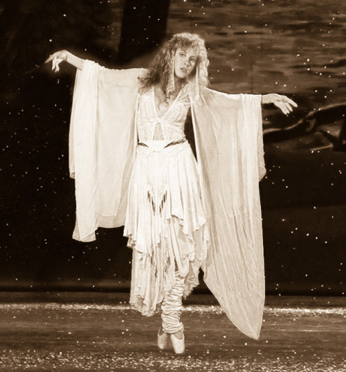 You Look Like Stevie Nicks