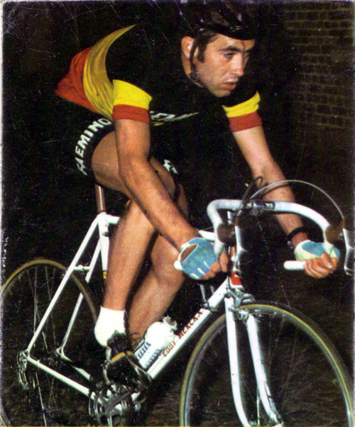 Eddy Merckx