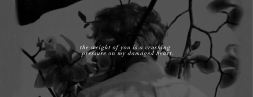 saintdrarry: {Drarry} addicted —Aster Lune.