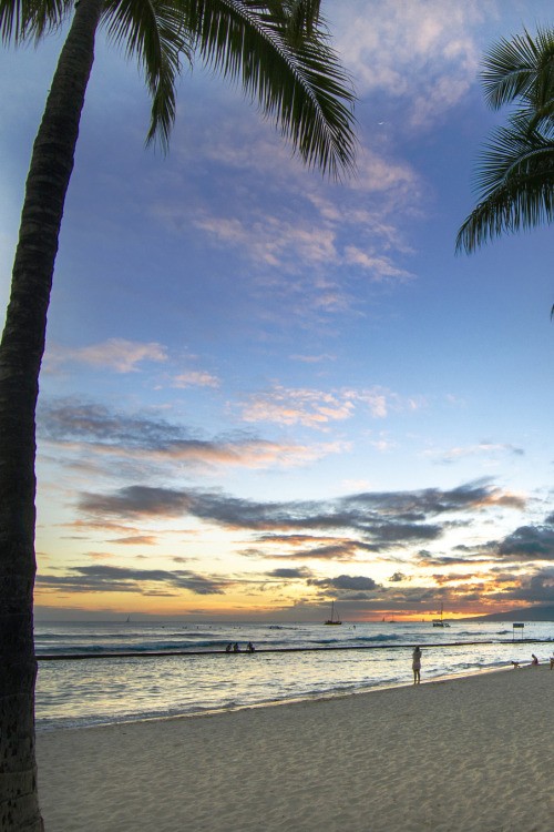 lsleofskye: Honolulu Sunset at Waikiki Beach xx