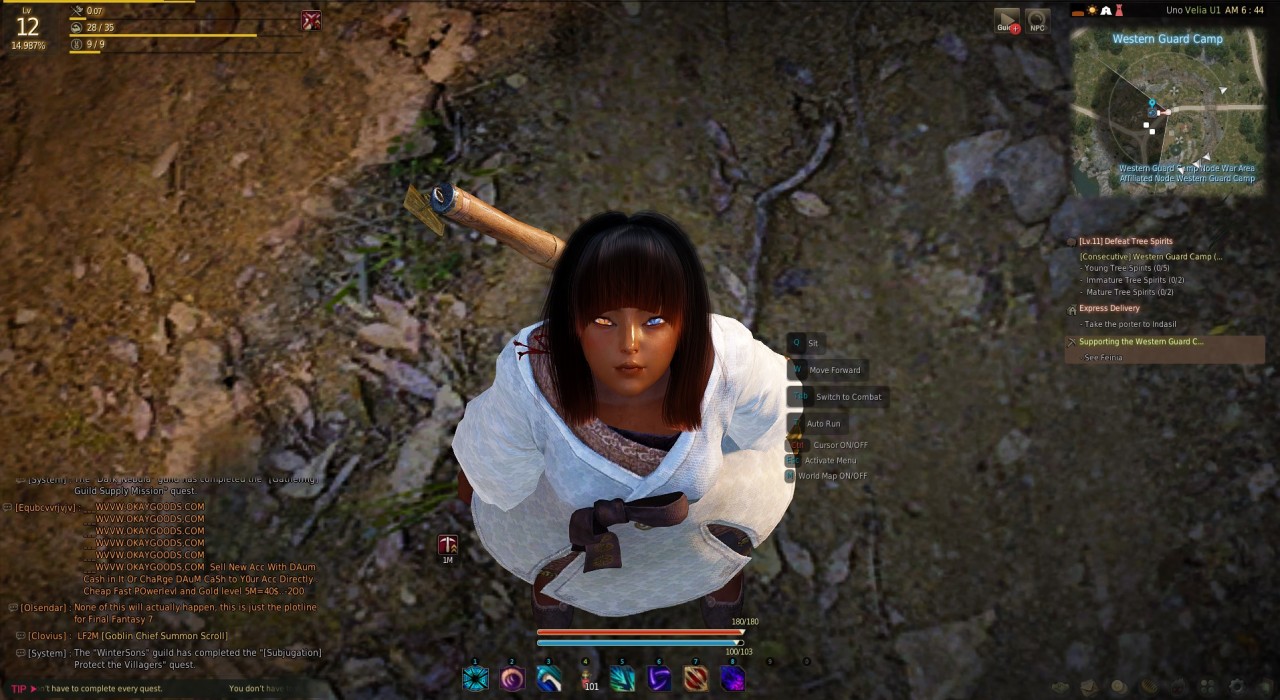 evolluision:  so yeah i play black desert online now :)