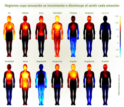 micro-cibermitanios:  Mapa corporal de las emociones