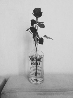 whynot97:  〰 black rose 〰